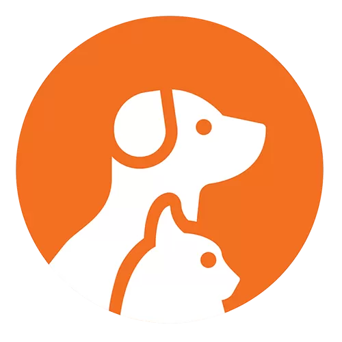 About Us Liverpool Veterinary Hospital