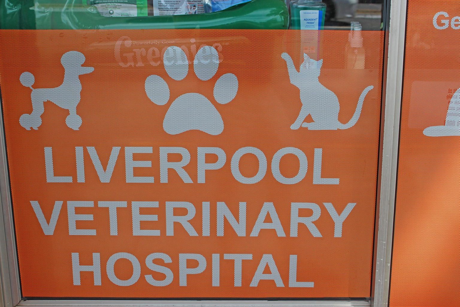 About Us Liverpool Veterinary Hospital