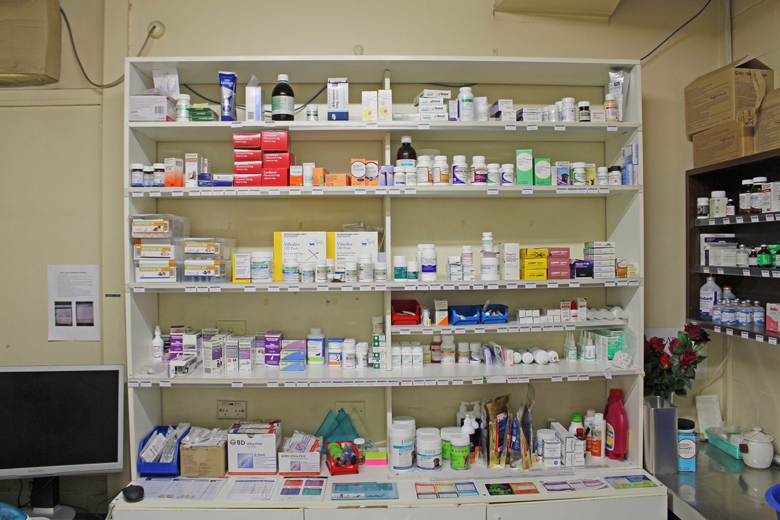 About Us Liverpool Veterinary Hospital