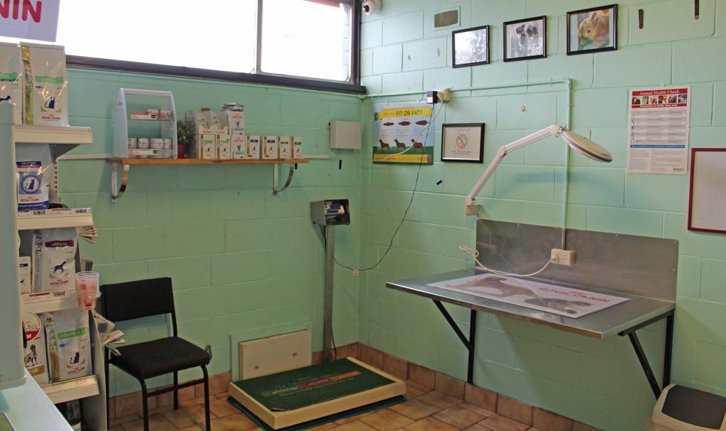 About Us Liverpool Veterinary Hospital