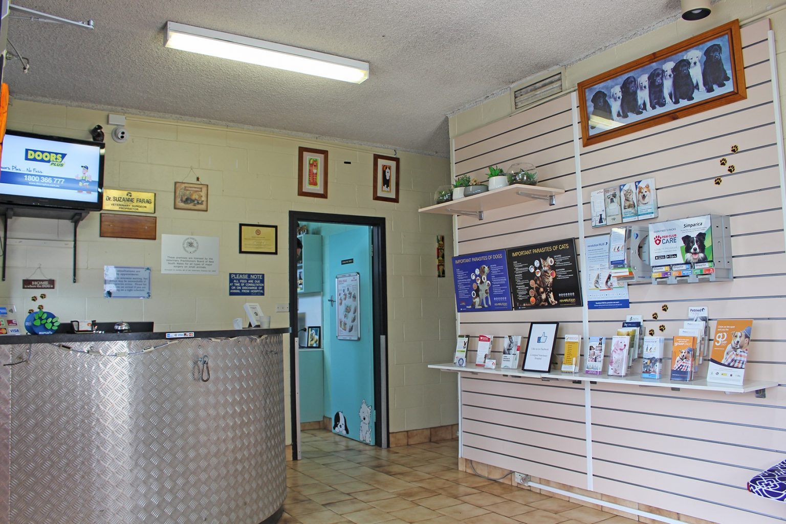 Specialized Animal Hospital & Veterinary Clinic in Liverpool