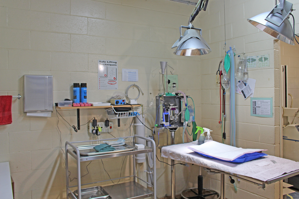 About Us Liverpool Veterinary Hospital