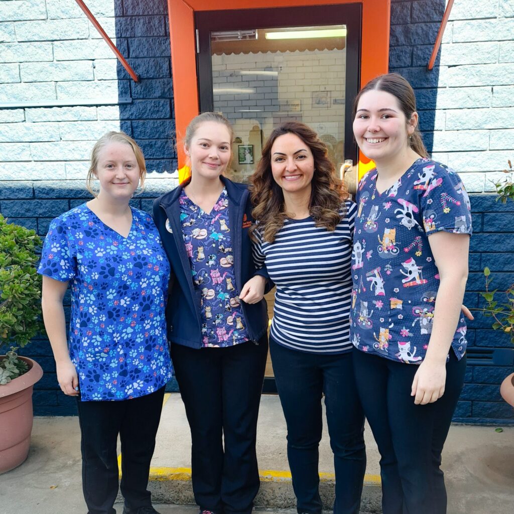 About Us Liverpool Veterinary Hospital