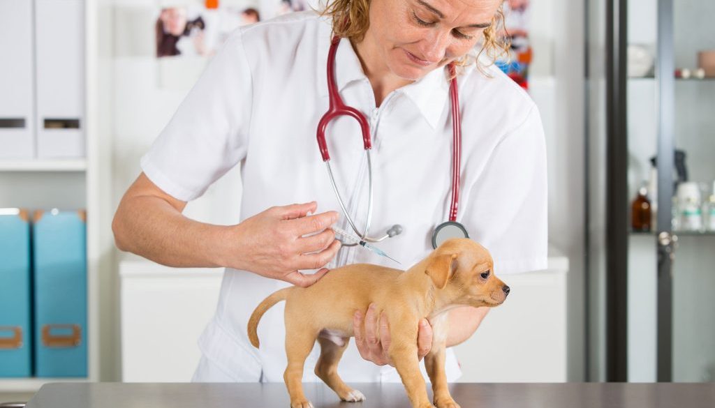 shutterstock_582493096