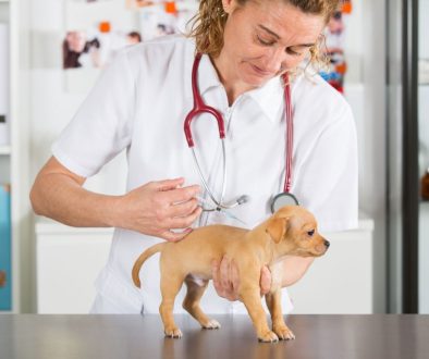 shutterstock_582493096