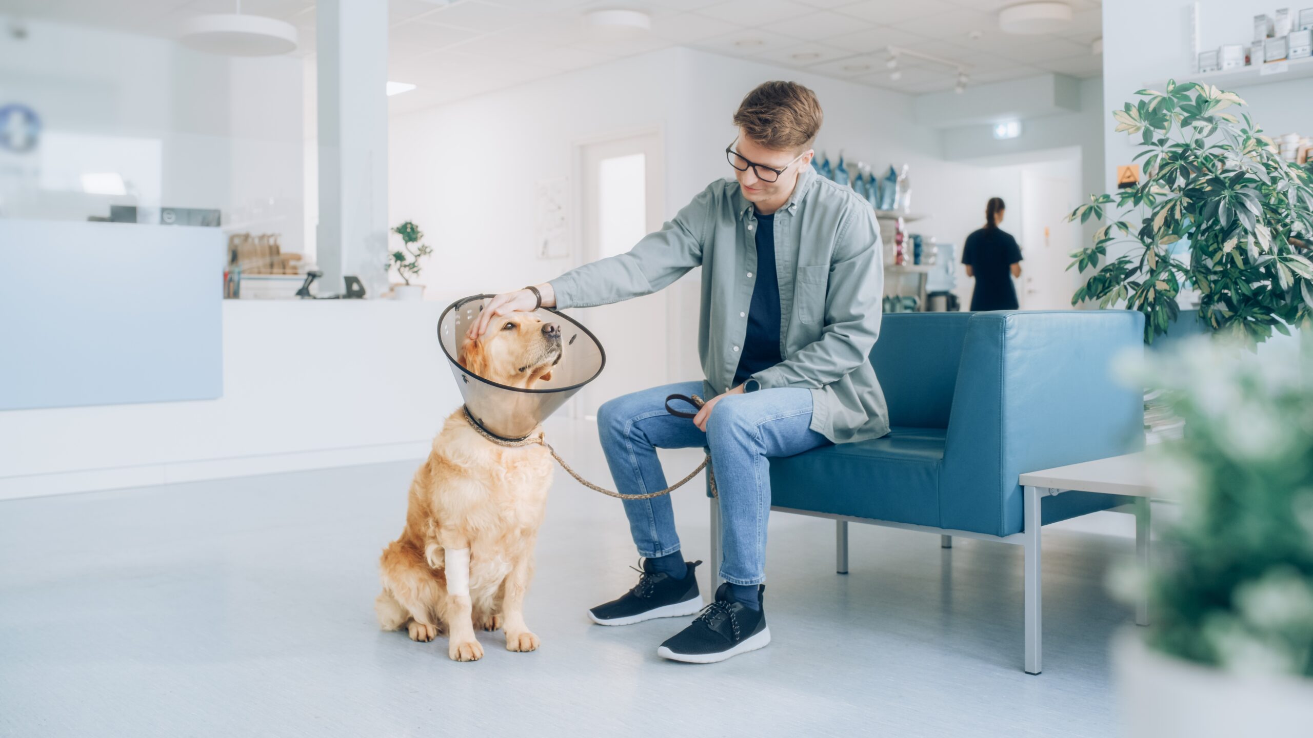 Best Emergency Vet Clinic